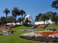 Pond and trees in Golden Gate Park